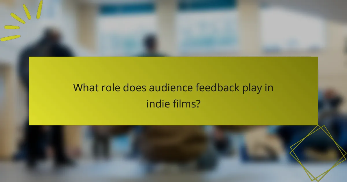 What role does audience feedback play in indie films?